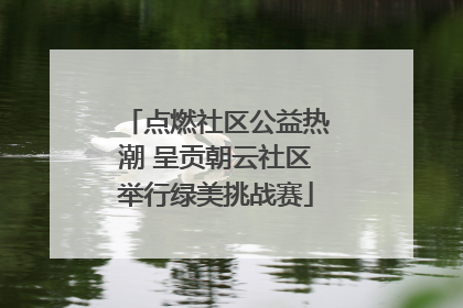点燃社区公益热潮 呈贡朝云社区举行绿美挑战赛