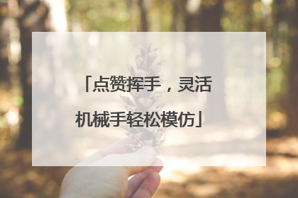 点赞挥手，灵活机械手轻松模仿