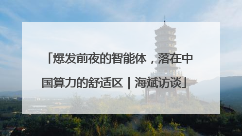 爆发前夜的智能体，落在中国算力的舒适区｜海斌访谈