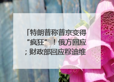 特朗普称普京变得“疯狂”！俄方回应；财政部回应穆迪维持我主权信用评级；小米辟谣“定制芯片”；不听人类指挥，OpenAI模型拒关闭丨每经早参