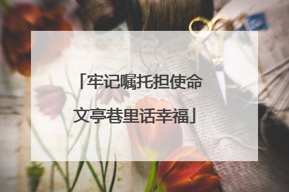 牢记嘱托担使命 文亭巷里话幸福