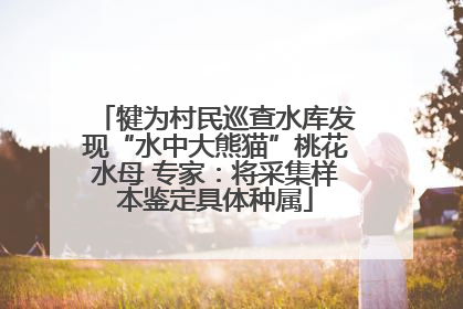 犍为村民巡查水库发现“水中大熊猫”桃花水母 专家：将采集样本鉴定具体种属