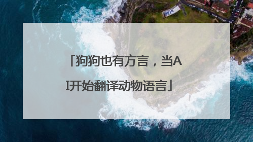 狗狗也有方言，当AI开始翻译动物语言