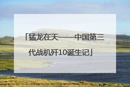 猛龙在天——中国第三代战机歼10诞生记