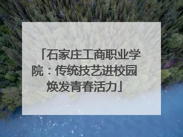 石家庄工商职业学院：传统技艺进校园焕发青春活力