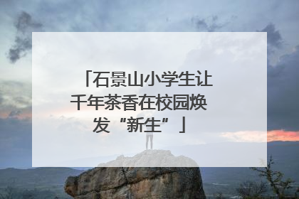 石景山小学生让千年茶香在校园焕发“新生”