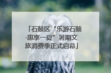 石鼓区“乐游石鼓·惠享一夏”暑期文旅消费季正式启幕