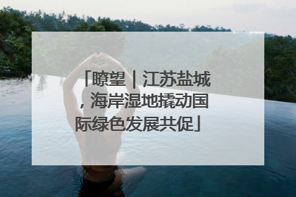 瞭望｜江苏盐城，海岸湿地撬动国际绿色发展共促