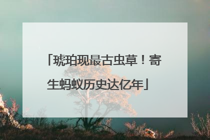 琥珀现最古虫草！寄生蚂蚁历史达亿年