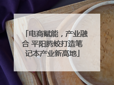 电商赋能，产业融合 平阳腾蛟打造笔记本产业新高地