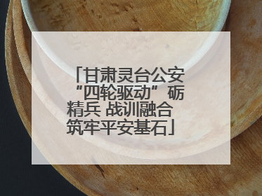 甘肃灵台公安“四轮驱动”砺精兵 战训融合筑牢平安基石
