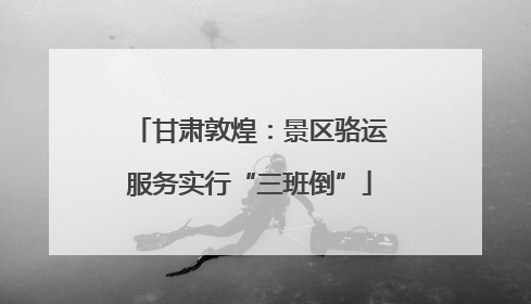 甘肃敦煌：景区骆运服务实行“三班倒”