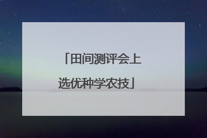 田间测评会上选优种学农技