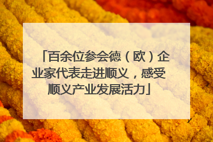 百余位参会德（欧）企业家代表走进顺义，感受顺义产业发展活力