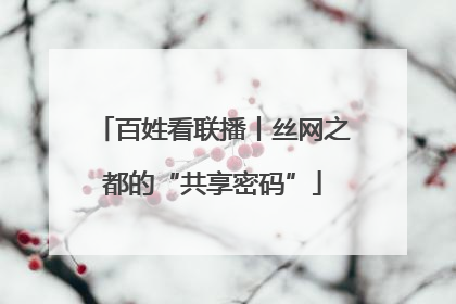 百姓看联播丨丝网之都的“共享密码”
