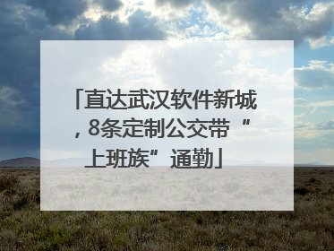 直达武汉软件新城，8条定制公交带“上班族”通勤
