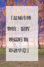 盐城市博物馆：银辉映端阳 釉彩谱华章