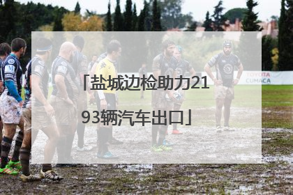 盐城边检助力2193辆汽车出口