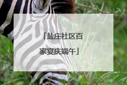 盐庄社区百家宴庆端午