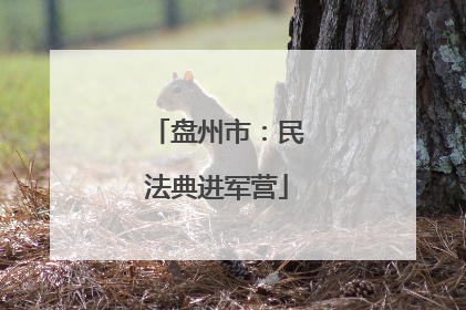 盘州市：民法典进军营