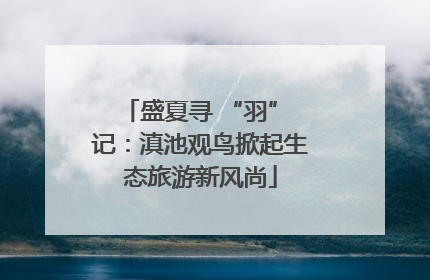 盛夏寻 “羽” 记：滇池观鸟掀起生态旅游新风尚