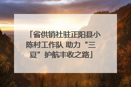 省供销社驻正阳县小陈村工作队 助力“三夏”护航丰收之路