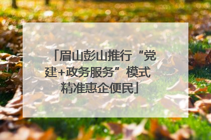 眉山彭山推行“党建+政务服务”模式 精准惠企便民