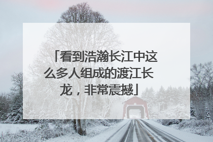 看到浩瀚长江中这么多人组成的渡江长龙，非常震撼