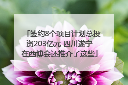 签约8个项目计划总投资203亿元 四川遂宁在西博会还推介了这些
