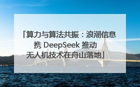 算力与算法共振：浪潮信息携 DeepSeek 推动无人机技术在舟山落地