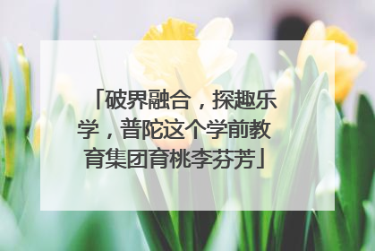 破界融合，探趣乐学，普陀这个学前教育集团育桃李芬芳