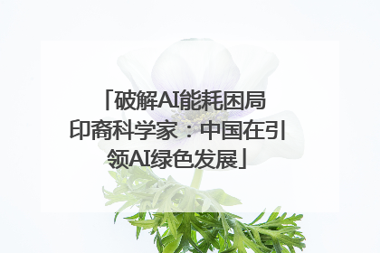 破解AI能耗困局 印裔科学家：中国在引领AI绿色发展
