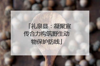 礼泉县：凝聚宣传合力构筑野生动物保护防线