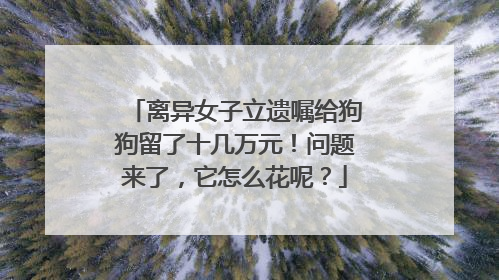 离异女子立遗嘱给狗狗留了十几万元！问题来了，它怎么花呢？