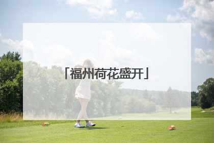 福州荷花盛开