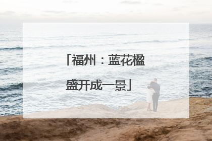 福州：蓝花楹盛开成一景