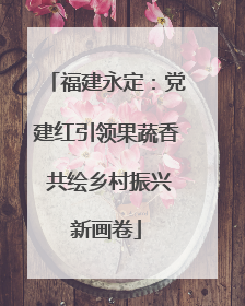 福建永定：党建红引领果蔬香 共绘乡村振兴新画卷
