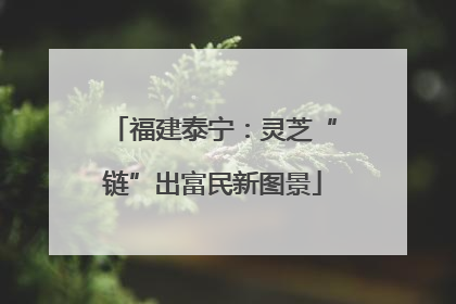 福建泰宁：灵芝“链”出富民新图景