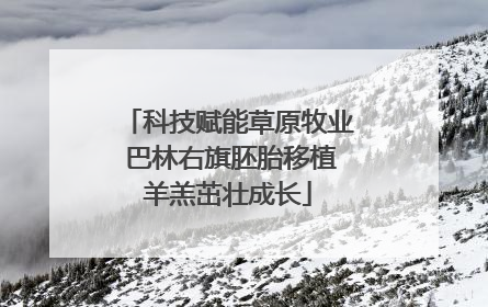 科技赋能草原牧业 巴林右旗胚胎移植羊羔茁壮成长