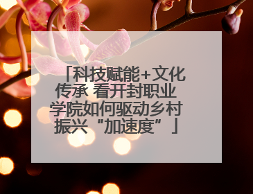 科技赋能+文化传承 看开封职业学院如何驱动乡村振兴“加速度”