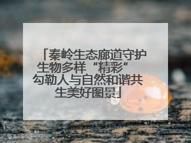 秦岭生态廊道守护生物多样“精彩” 勾勒人与自然和谐共生美好图景