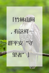 竹林山间，有这样一群平安“守望者”