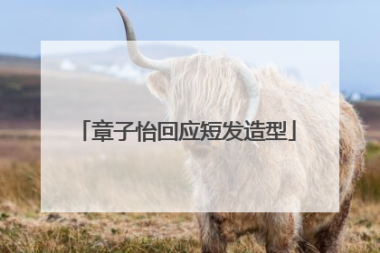 章子怡回应短发造型