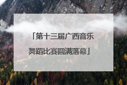第十三届广西音乐舞蹈比赛圆满落幕
