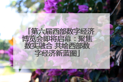 第六届西部数字经济博览会即将启幕：聚焦数实融合 共绘西部数字经济新蓝图