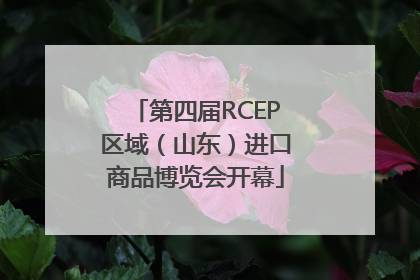第四届RCEP区域（山东）进口商品博览会开幕