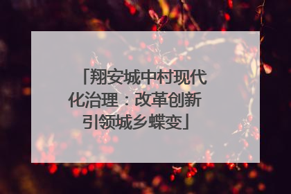 翔安城中村现代化治理：改革创新引领城乡蝶变