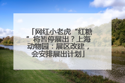 网红小老虎“红糖”将暂停展出？上海动物园：展区改建，会安排展出计划