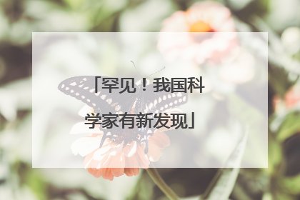 罕见！我国科学家有新发现