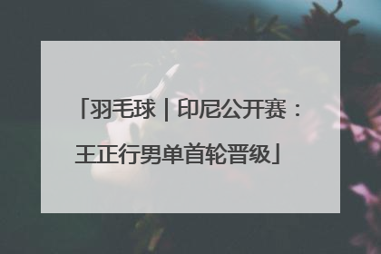 羽毛球｜印尼公开赛：王正行男单首轮晋级